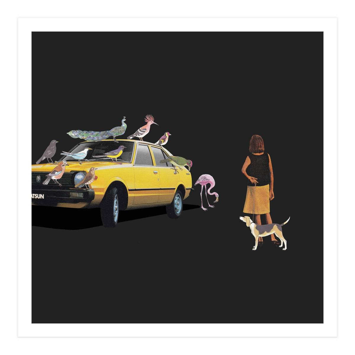 Bird Gang (Print Only)