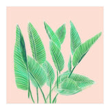 Modern Hand Painted Tropical Green Watercolor Leaf Bird Of Paradise On Pastel Pink (Print Only) thumbnail