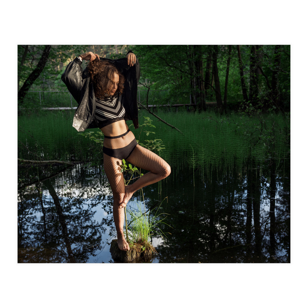 Black Swan (Print Only)