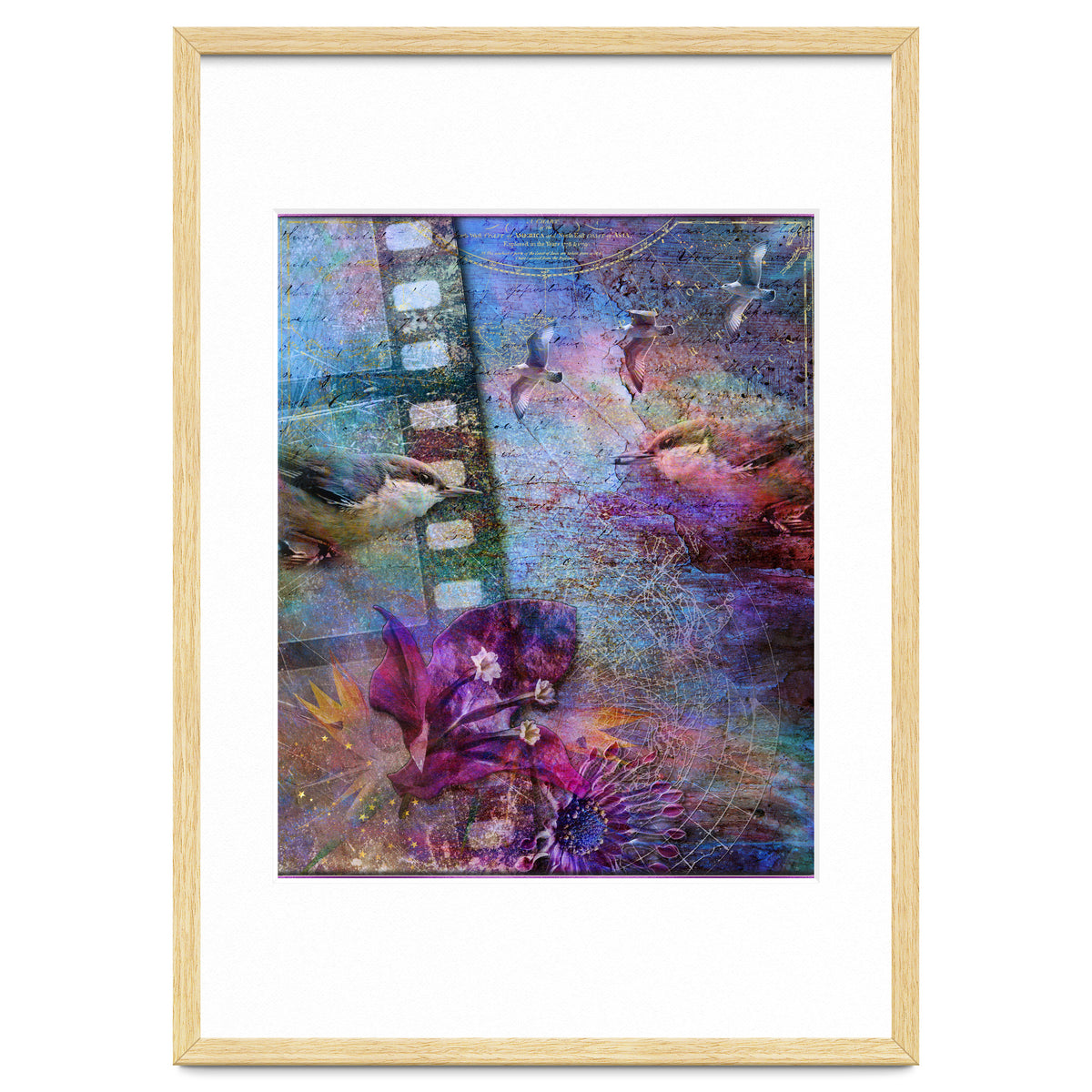 Watching the Wild World