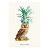 Pineapple Owl Vintage (Print Only) thumbnail