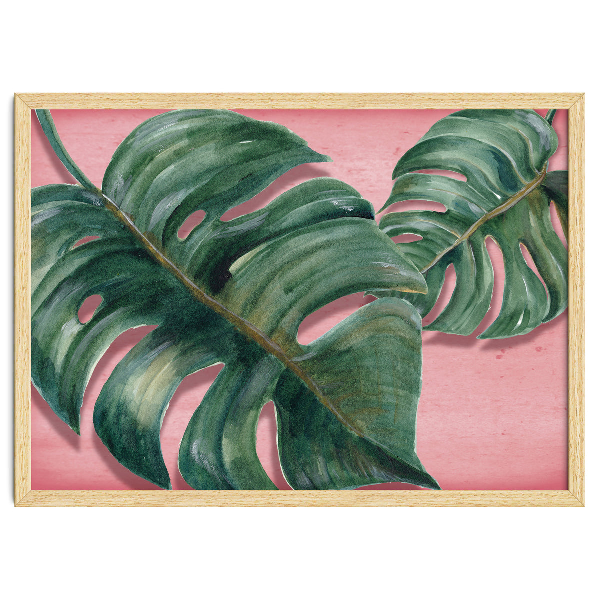 Monstera Leaf