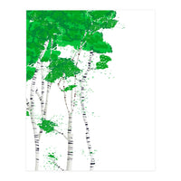 Birch forest (Print Only)