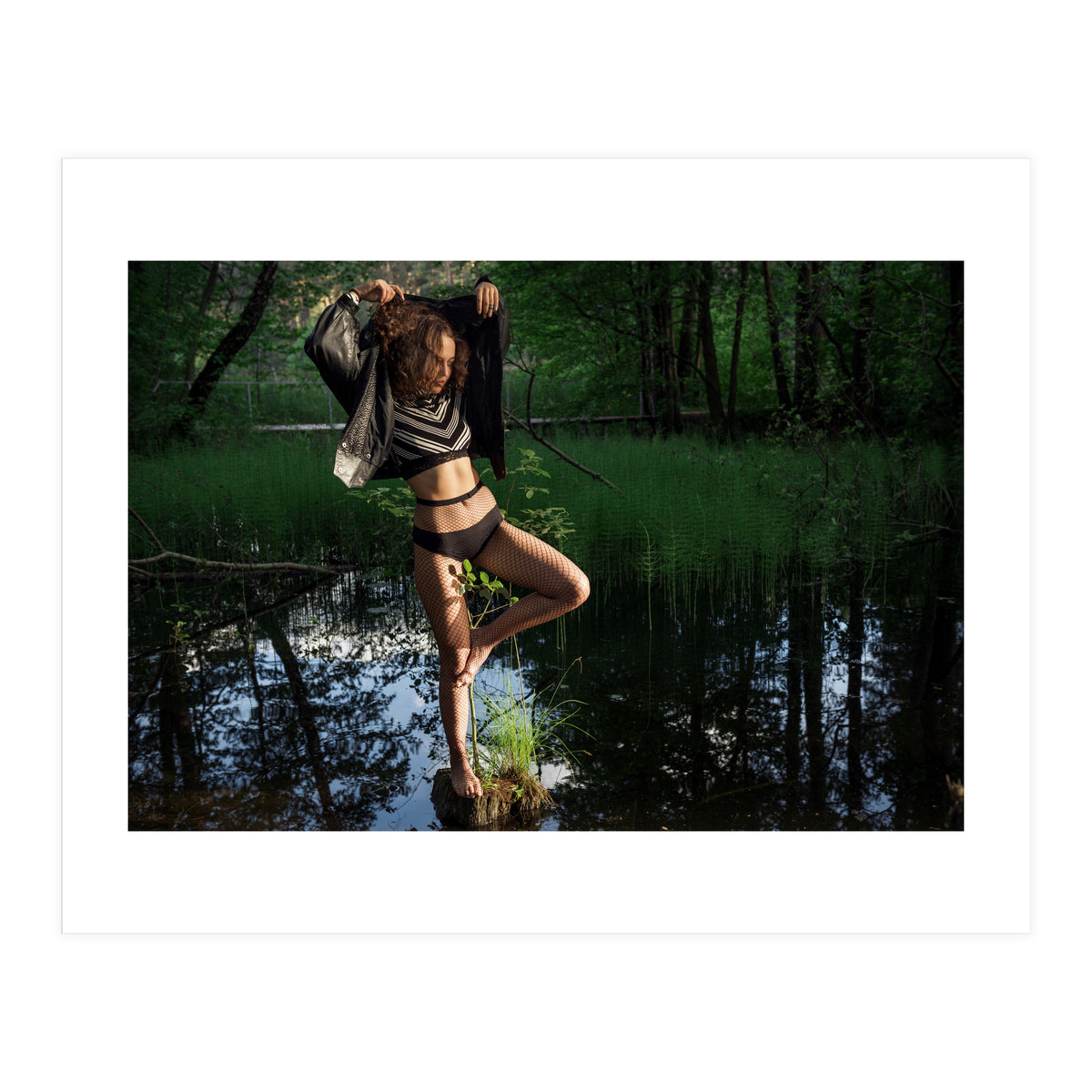 Swamp Swan (Print Only)