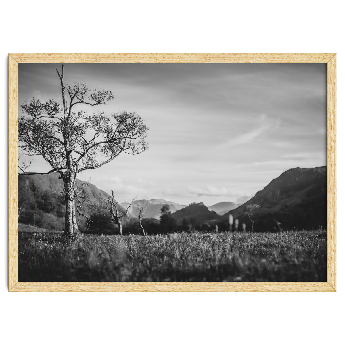 Graham Hunt Photography Landscape 10