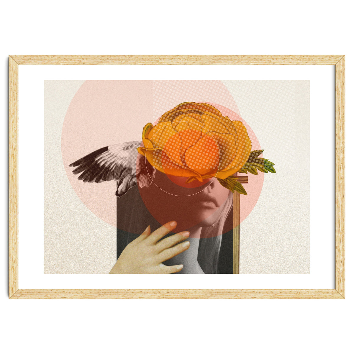 Dreamland Division · C