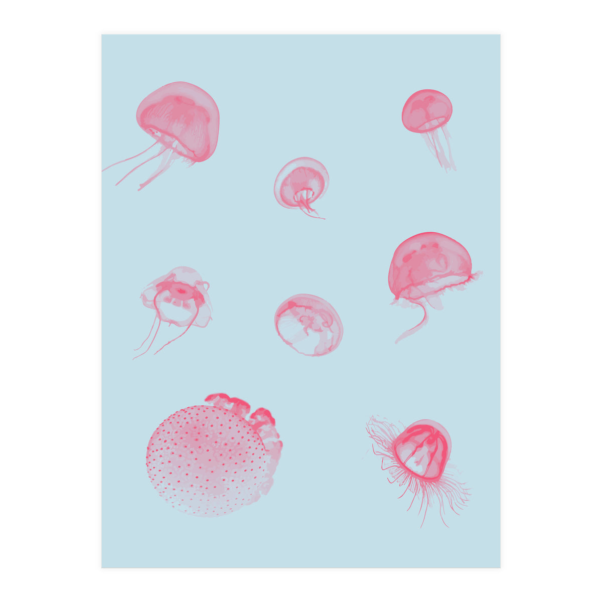 Jellyfish (Print Only)