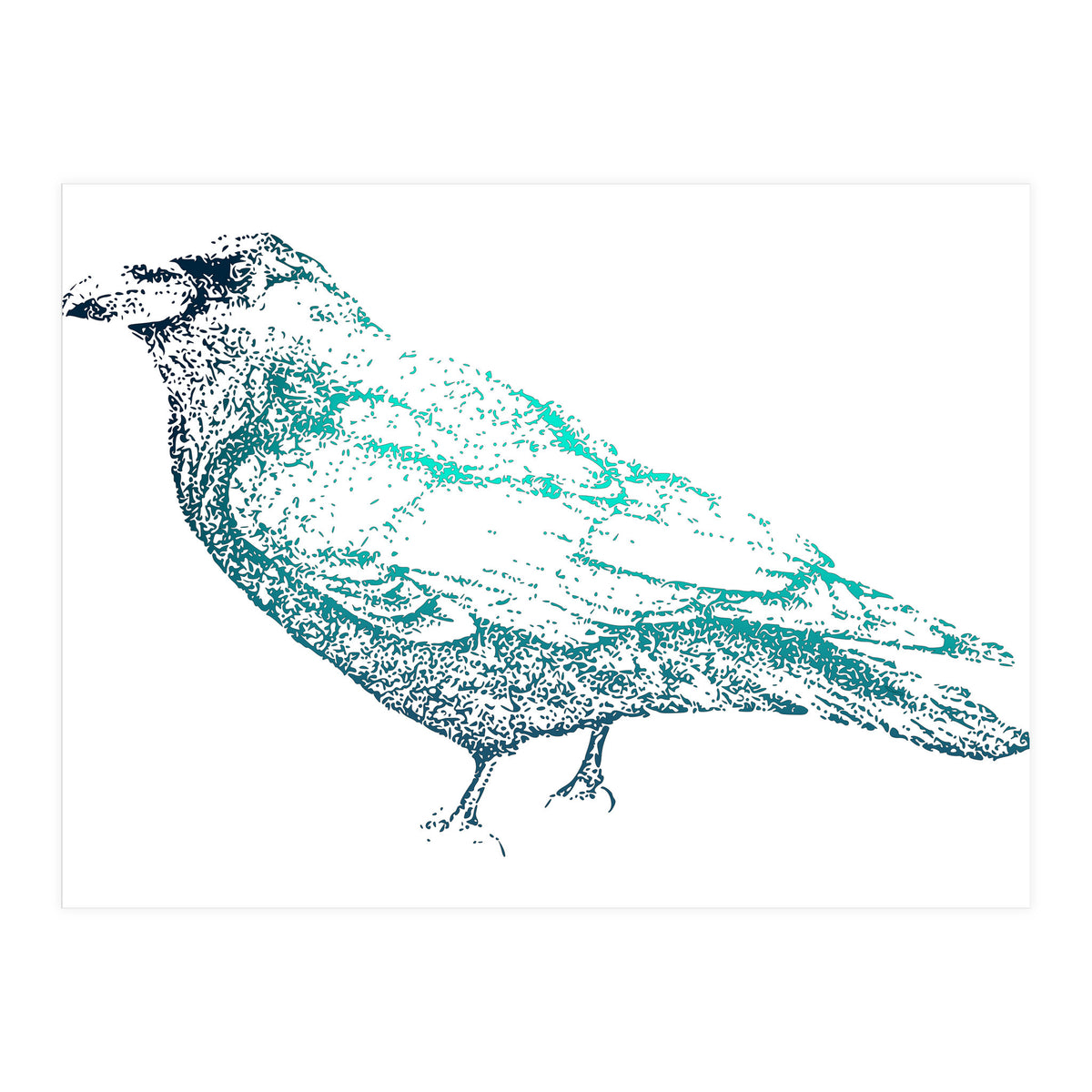 Teal Raven (Print Only)