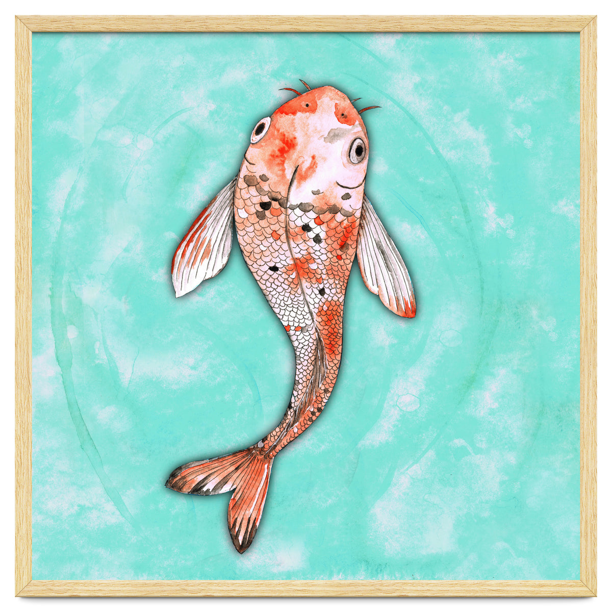 Koi fish