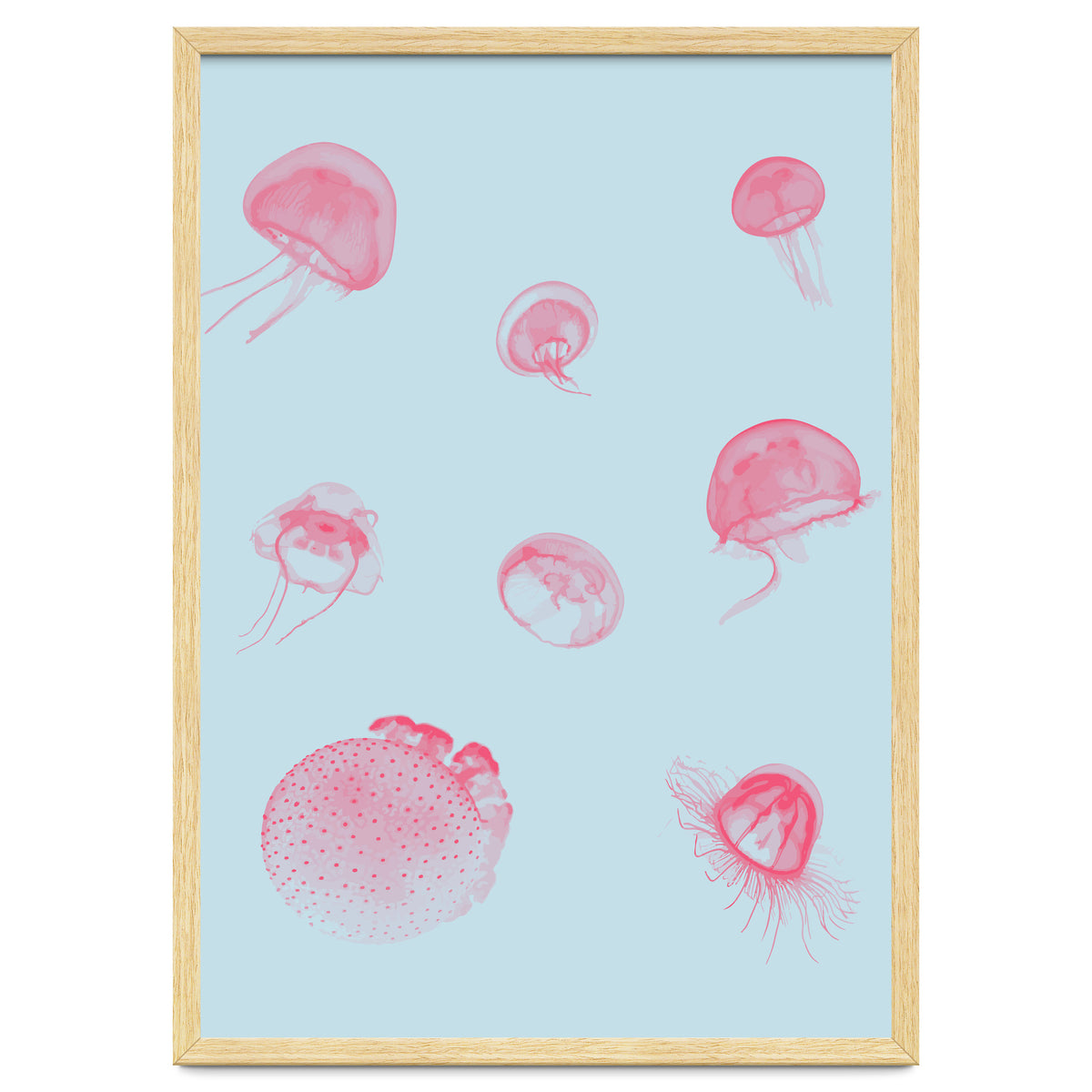 Jellyfish
