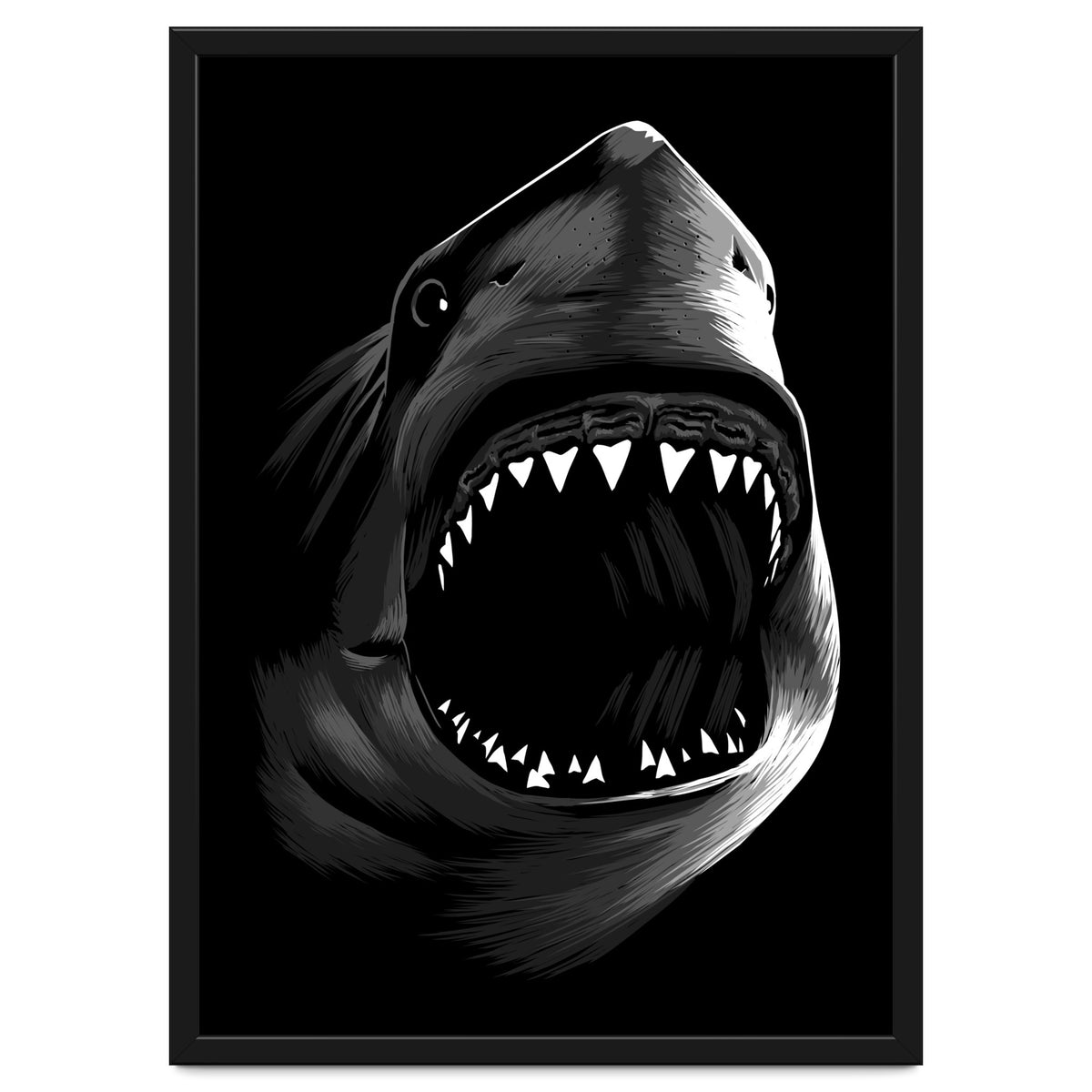 Megalodon
