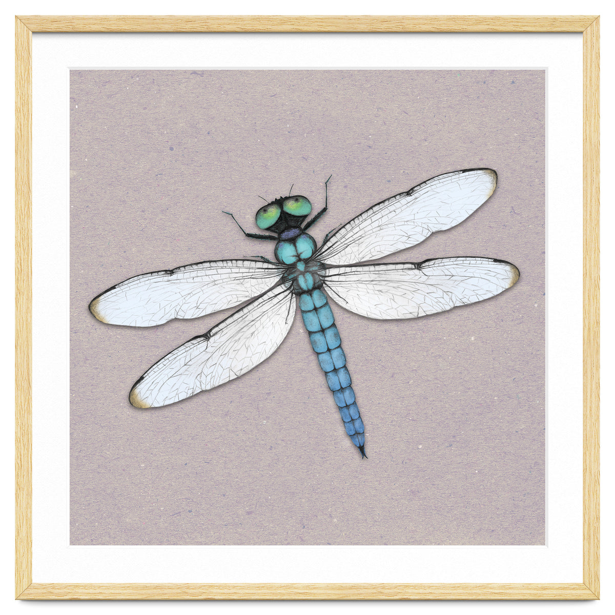 Blue dragonfly