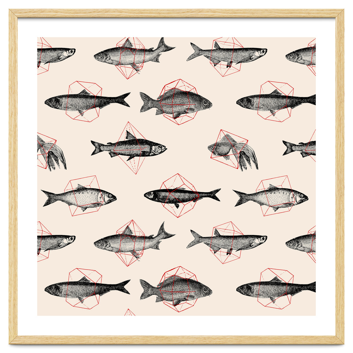 Fish In Geometrics