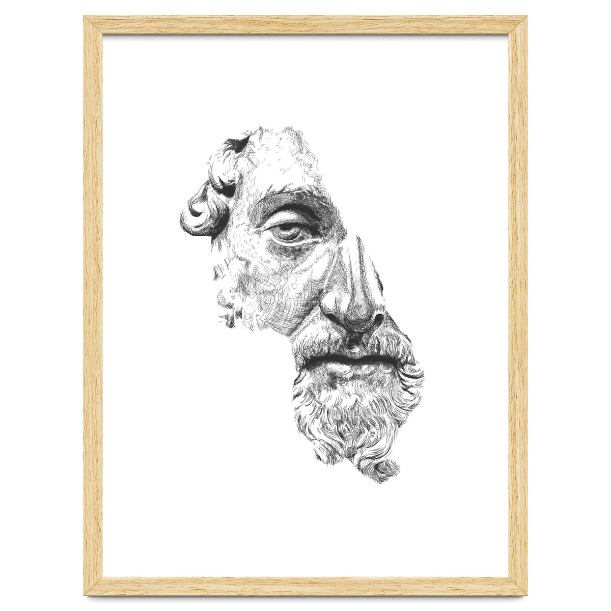 MARCUS AURELIUS ANTONINUS AUGUSTUS / black and white