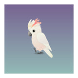 Salmon-crested cockatoo (Print Only) thumbnail