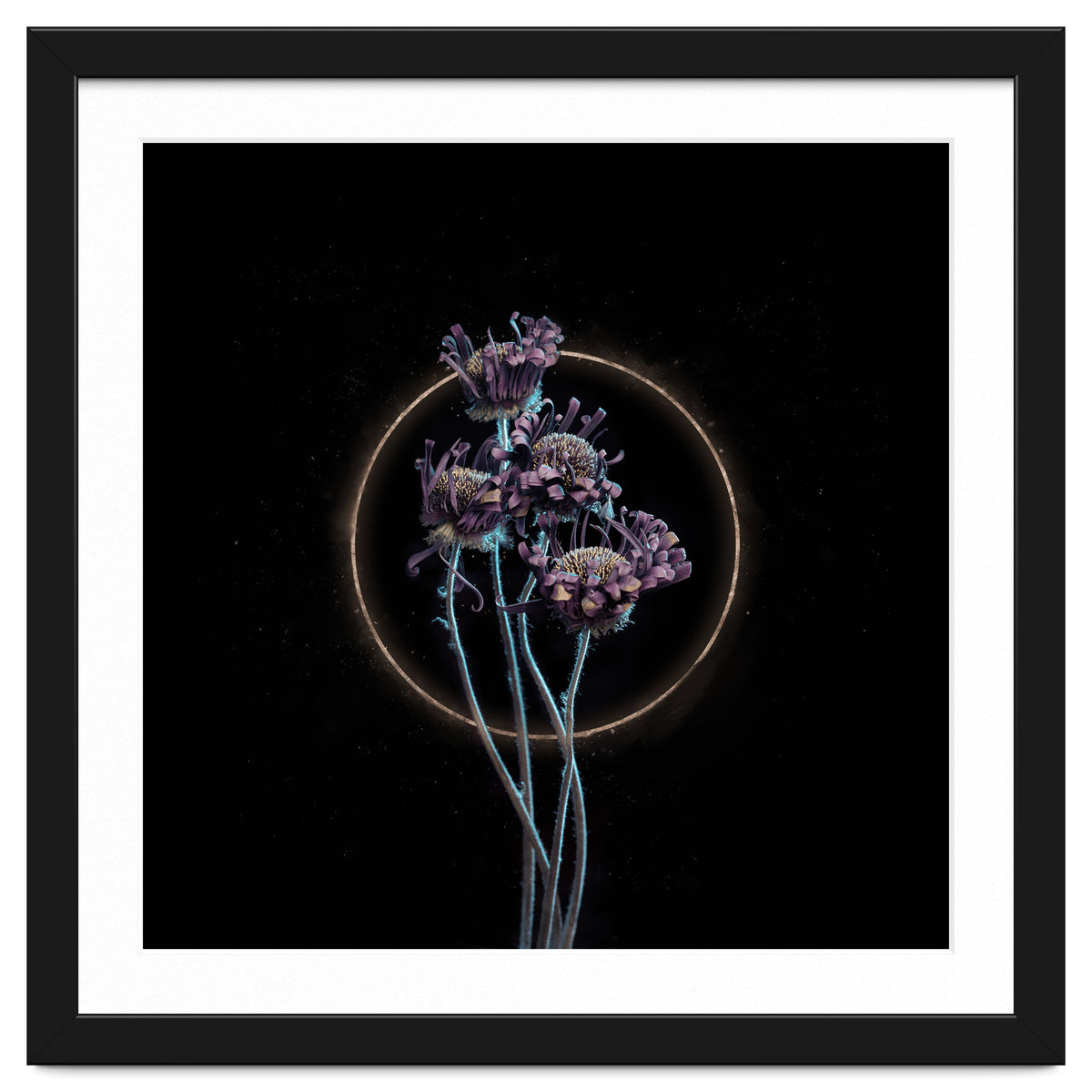 Candy-Coloured Mystery