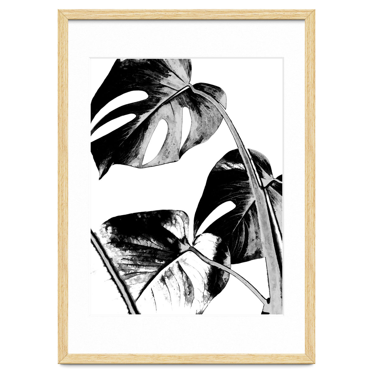 Black Tropical Leaves