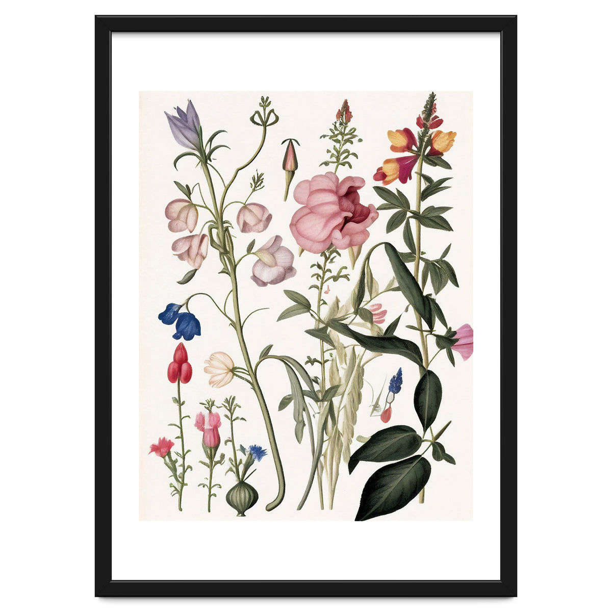Flowers Botanical Vintage Illustration