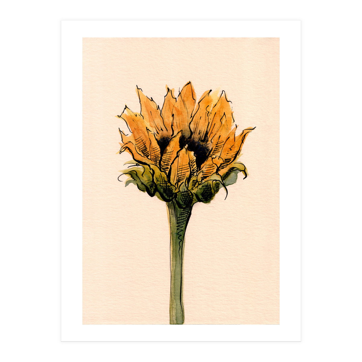 Sunflower (Print Only)