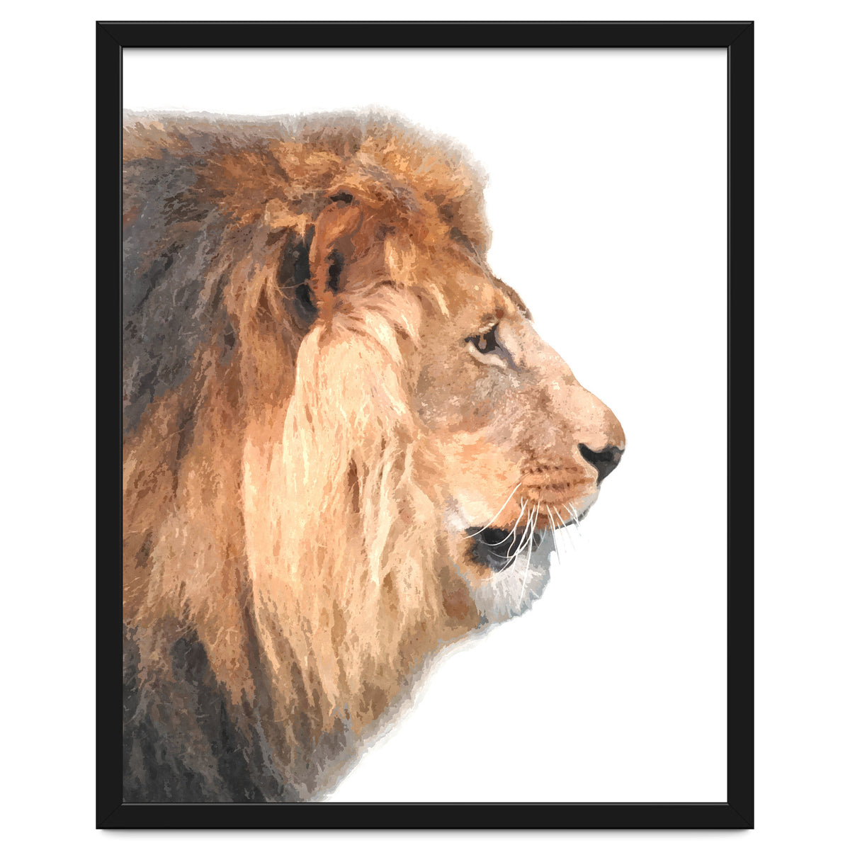 Lion Profile