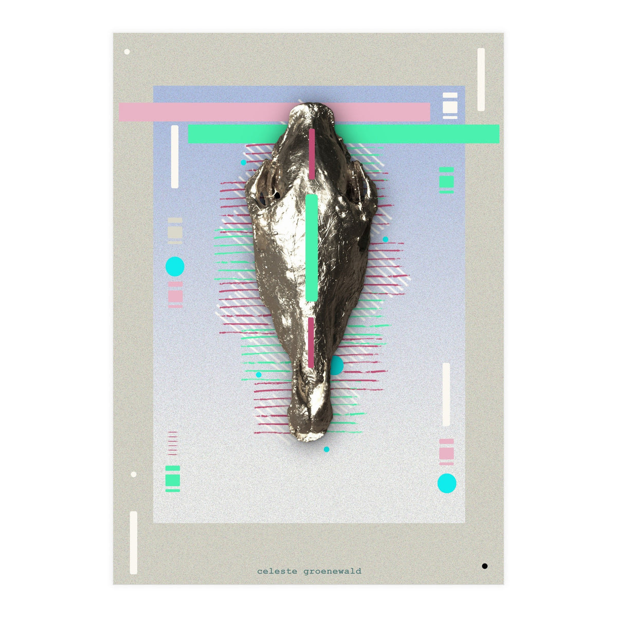 Equus quagga (Print Only)