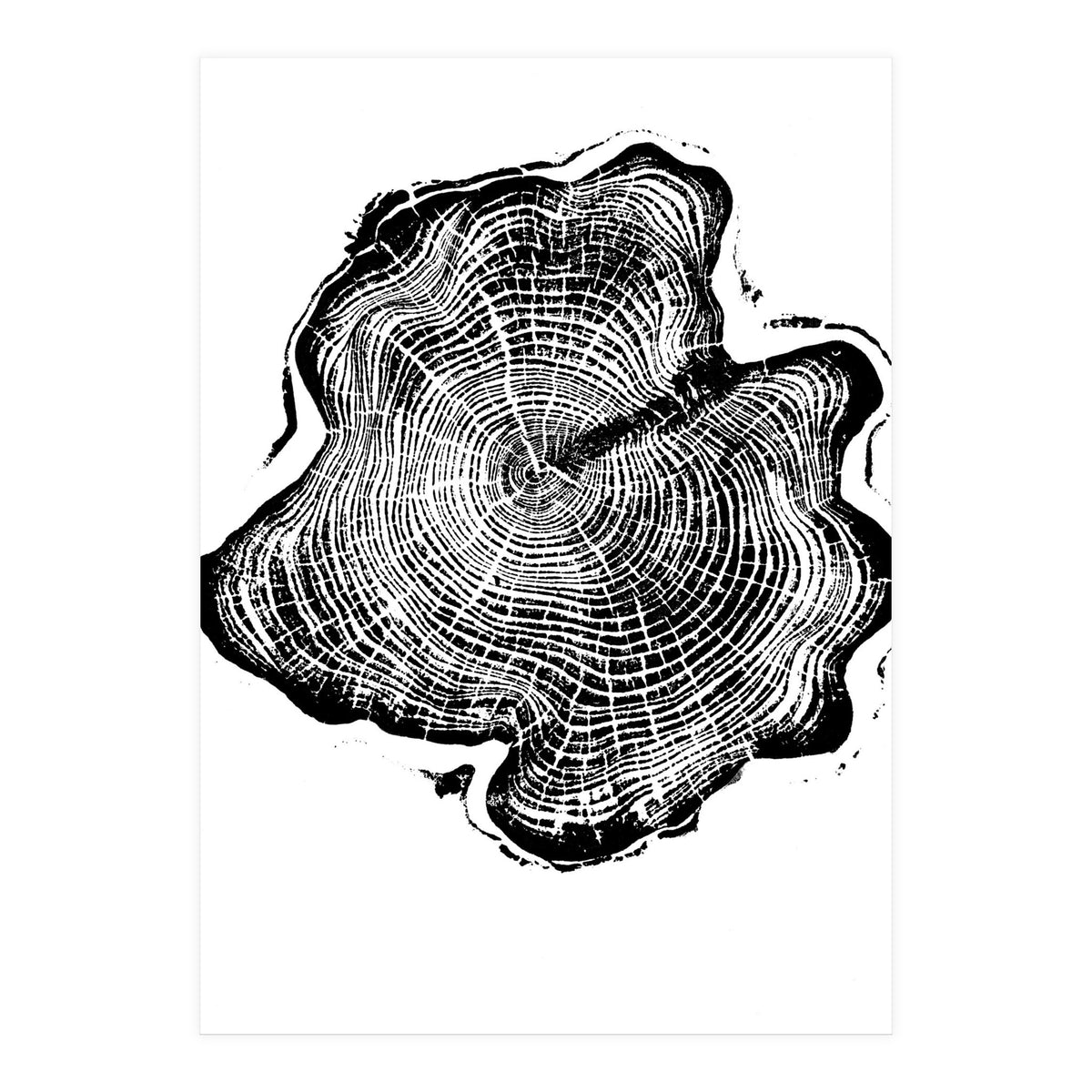 Alaskan Cypress, Tree Ring Art Print, Woodblock (Print Only)