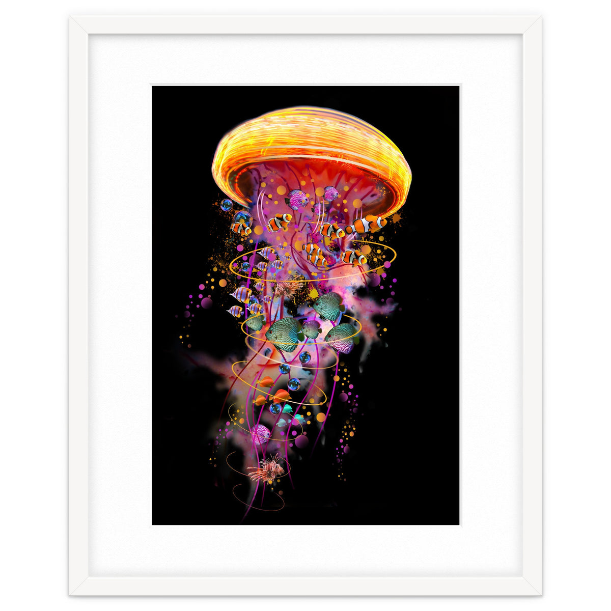 Jelly Fish Ride Summer2018 Dbh