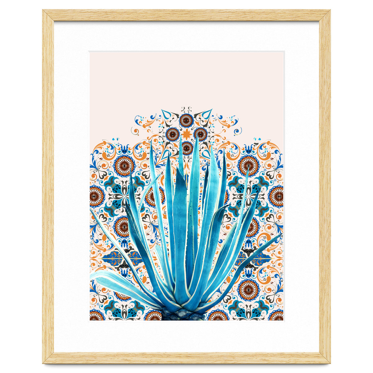 Cactus and Moroccan tiles