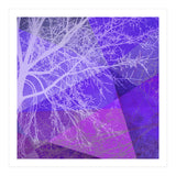 P19-D2 Trees and Triangles (Print Only) thumbnail