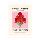 Sagittarius Birth Flower Carnation  (Print Only) thumbnail