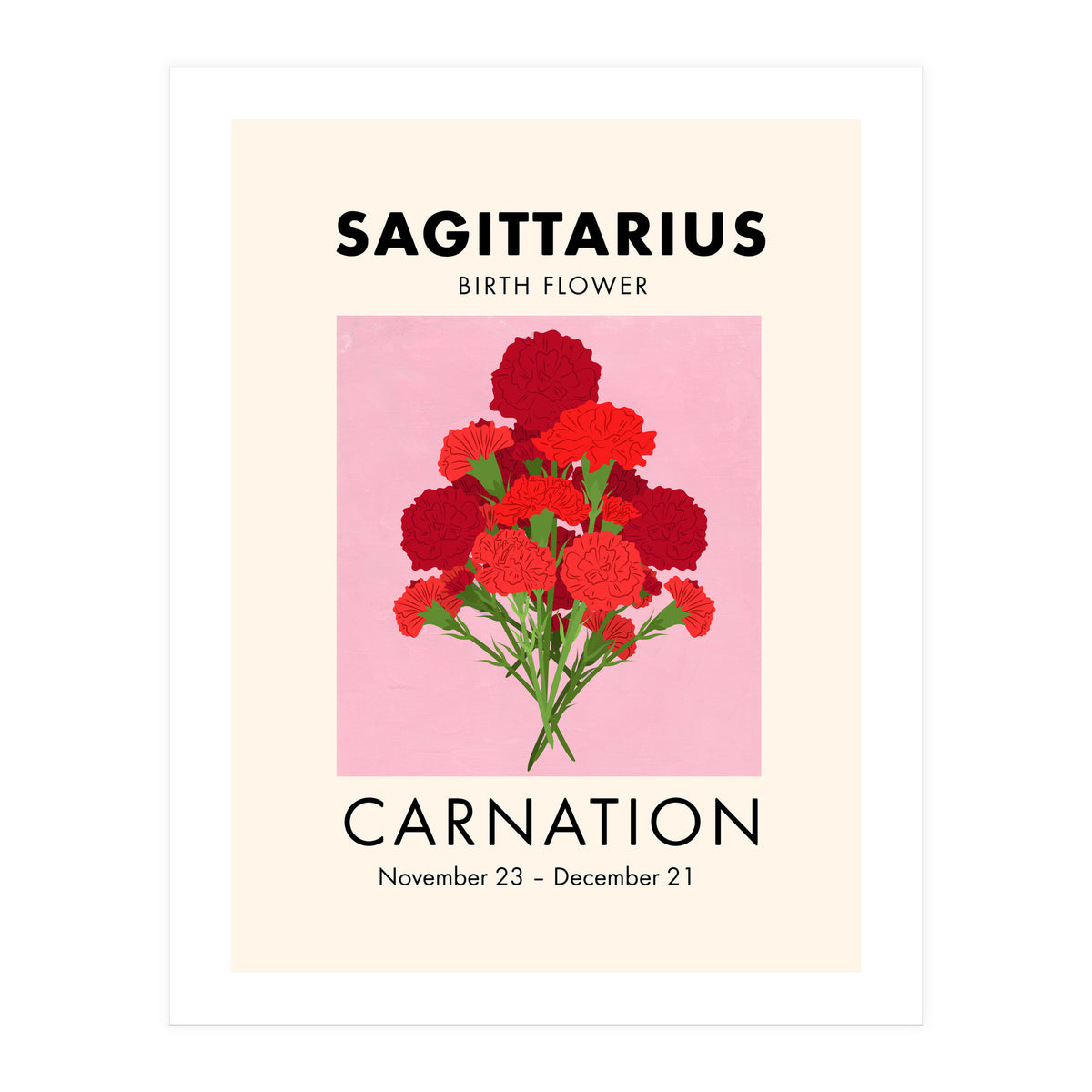 Sagittarius Birth Flower Carnation  (Print Only)