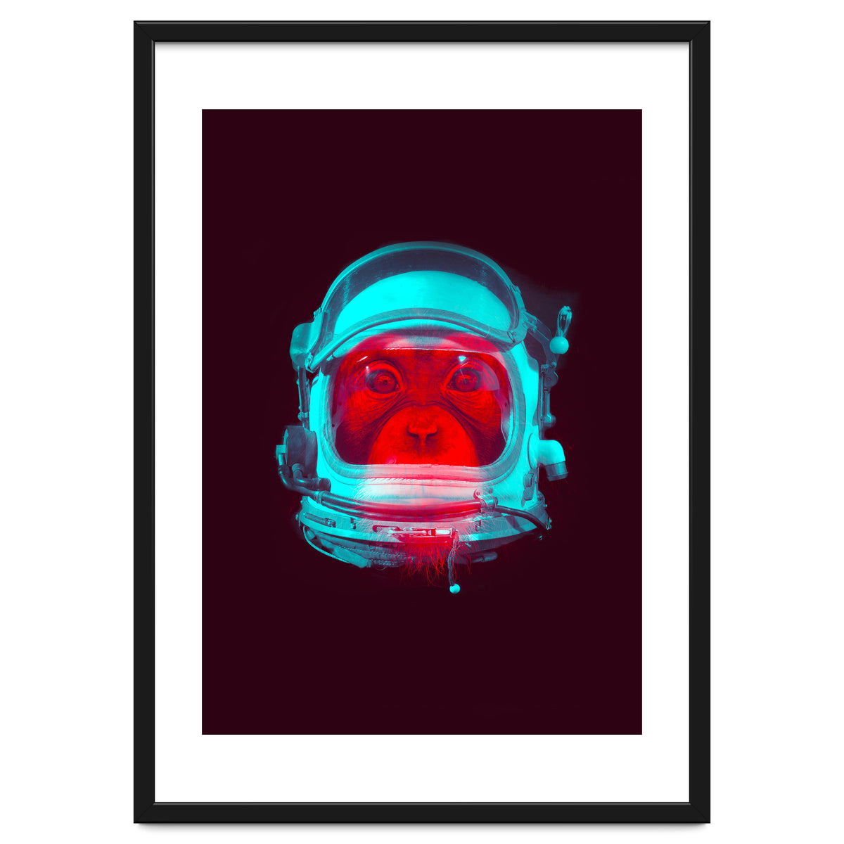 Astronaut