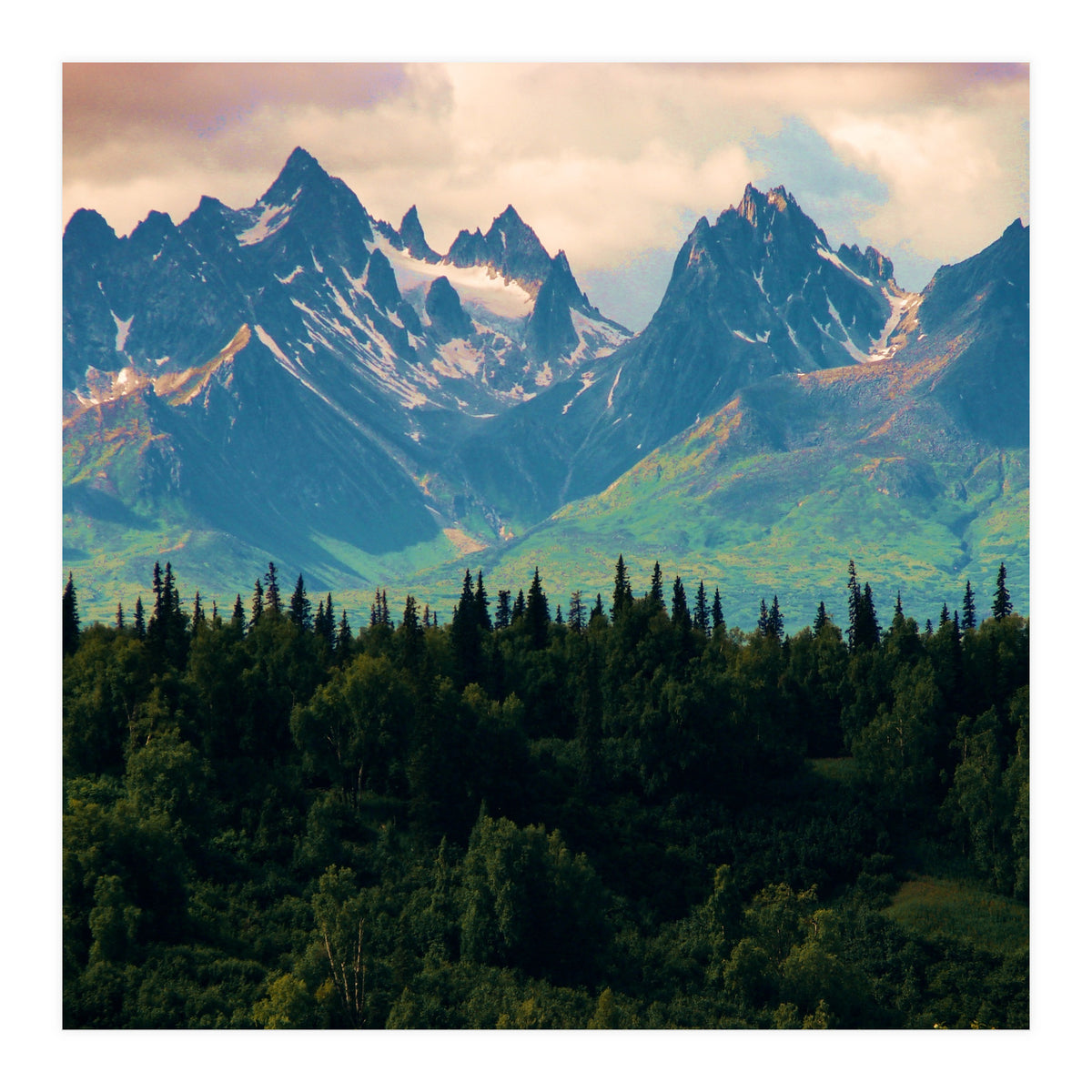 Escaping from woodland heights II (Print Only)