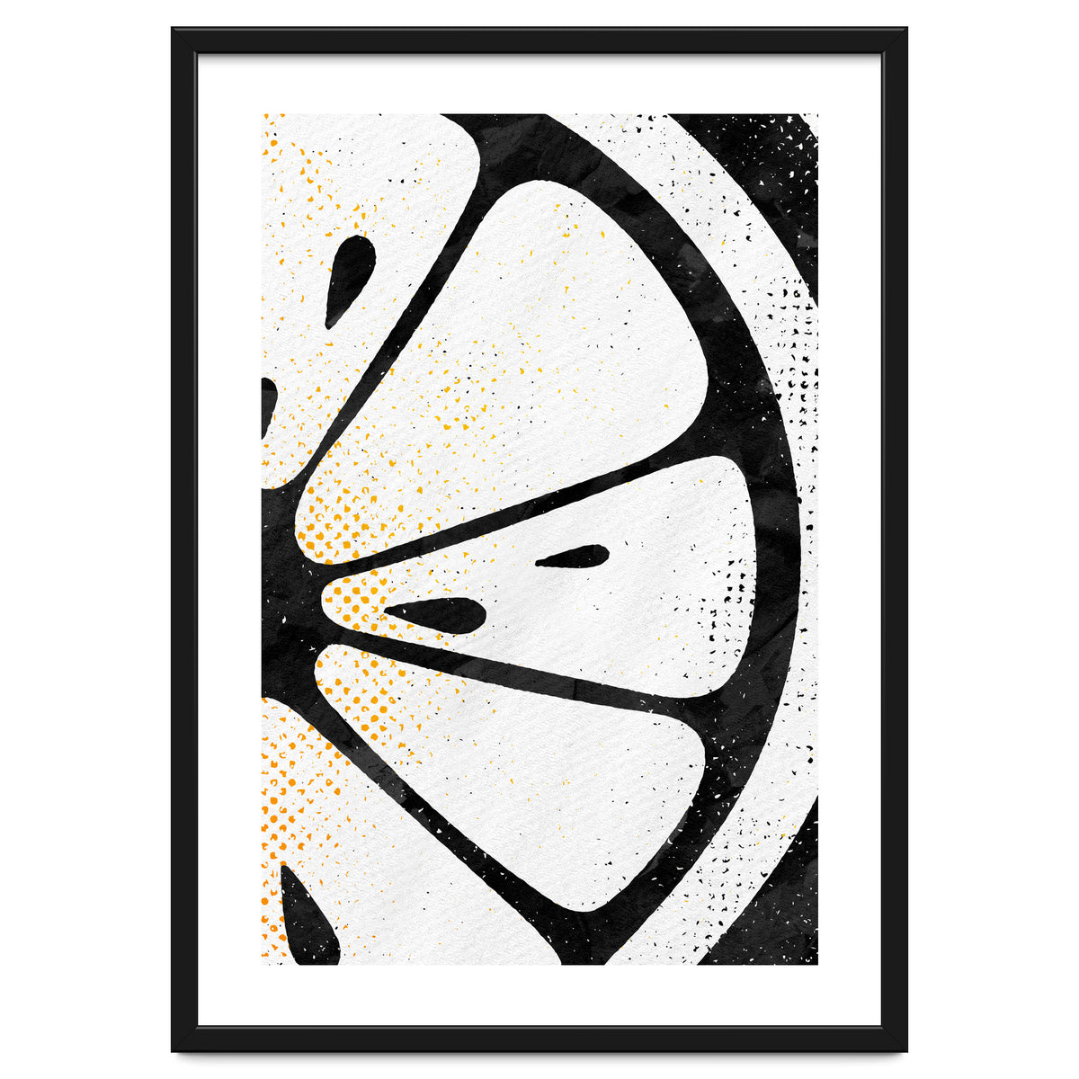 Citrus Collection No4