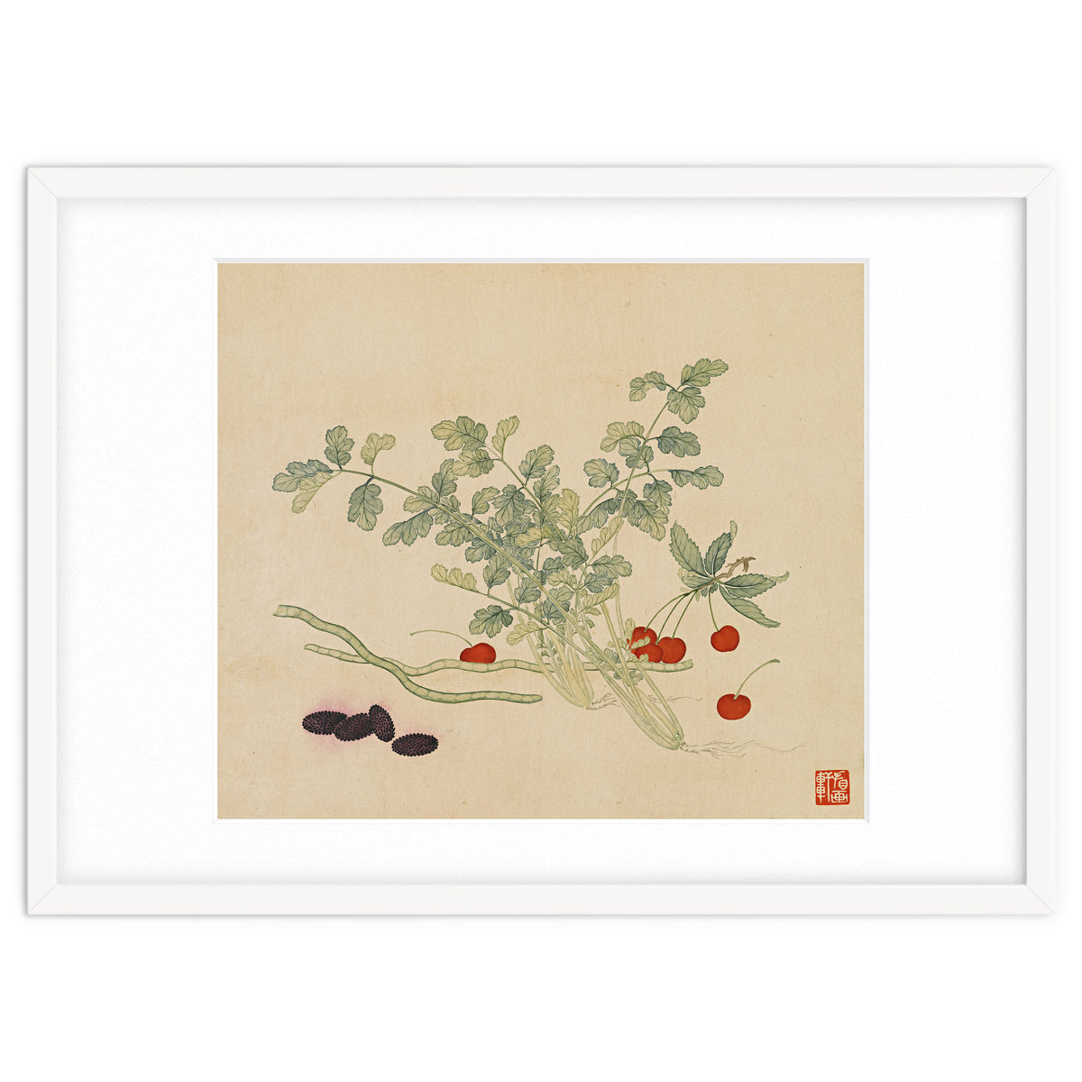 Wang Chengyu~flowers And Vegetables, Vegetables, Fruits, Beans, Red Beans, Cherries, Celery