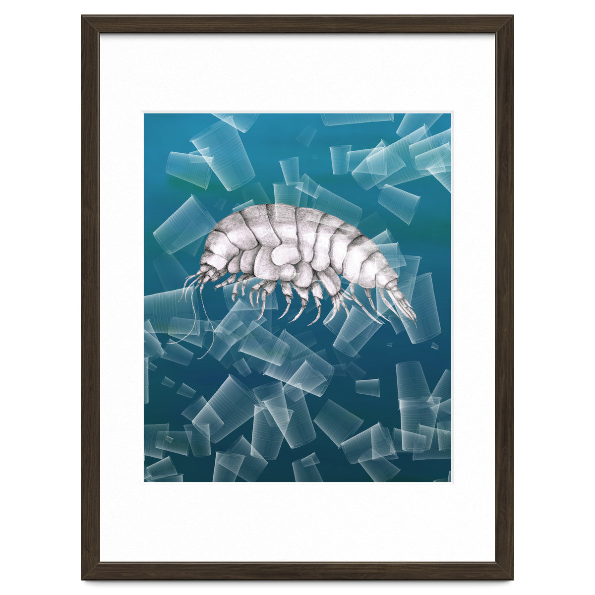 Eurythenes Plasticus