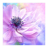 Wispy Purple Anemone (Print Only) thumbnail