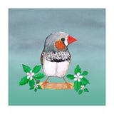 Zebra finch (Print Only) thumbnail