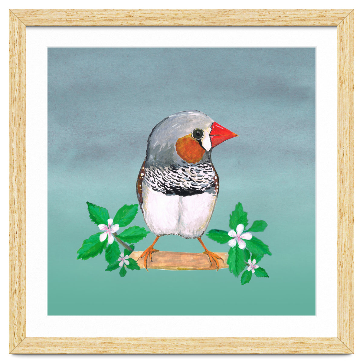 Zebra finch