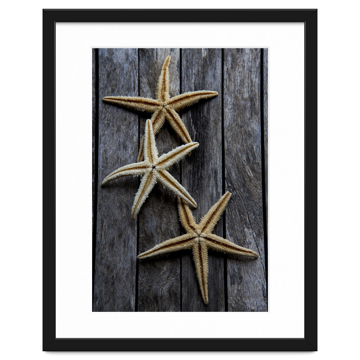 Starfishes in wooden