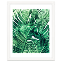 Tropical State of Mind | Watercolor Palm Banana Leaves Painting | Botanical Jungle Bohemian Plants
