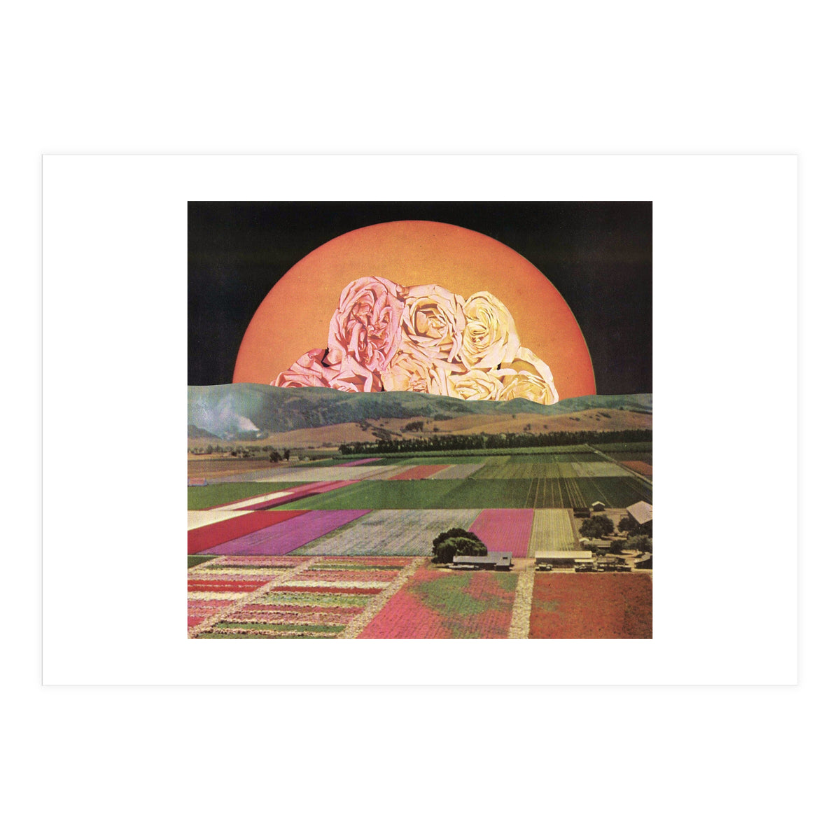 Untitled (Print Only)