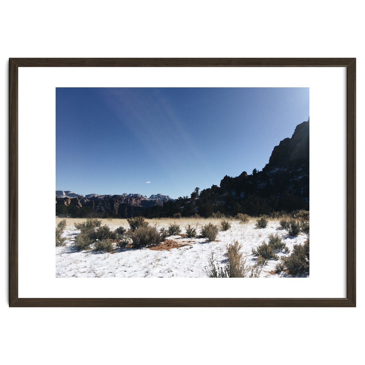 Zion National Park II