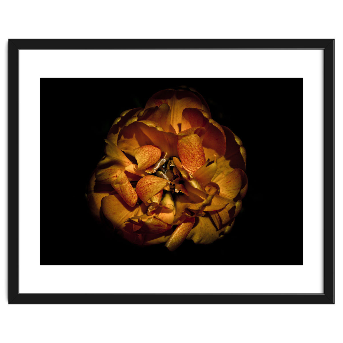 Backyard Flowers No 80 Color Version