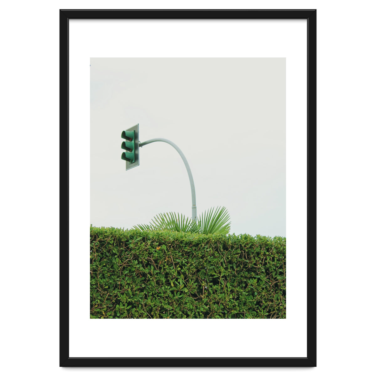 Urban Plant