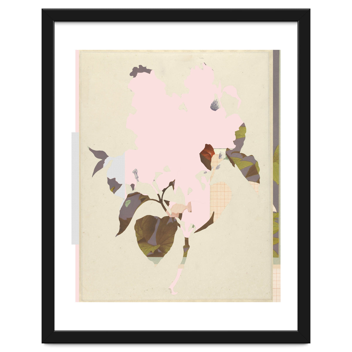 The First Plant · G