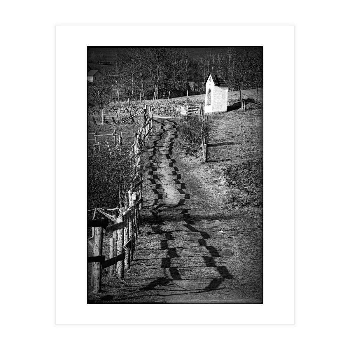 Forestry path (Print Only)