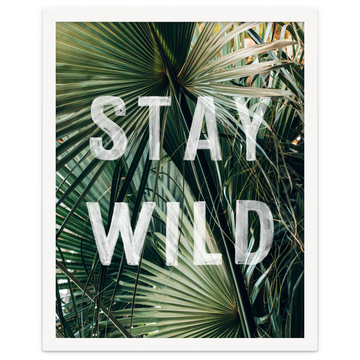 Stay Wild