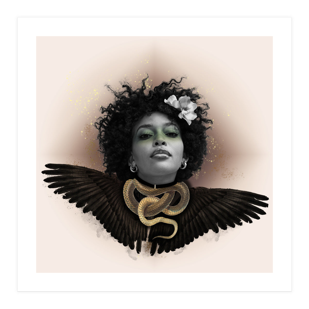 h65 (Print Only)