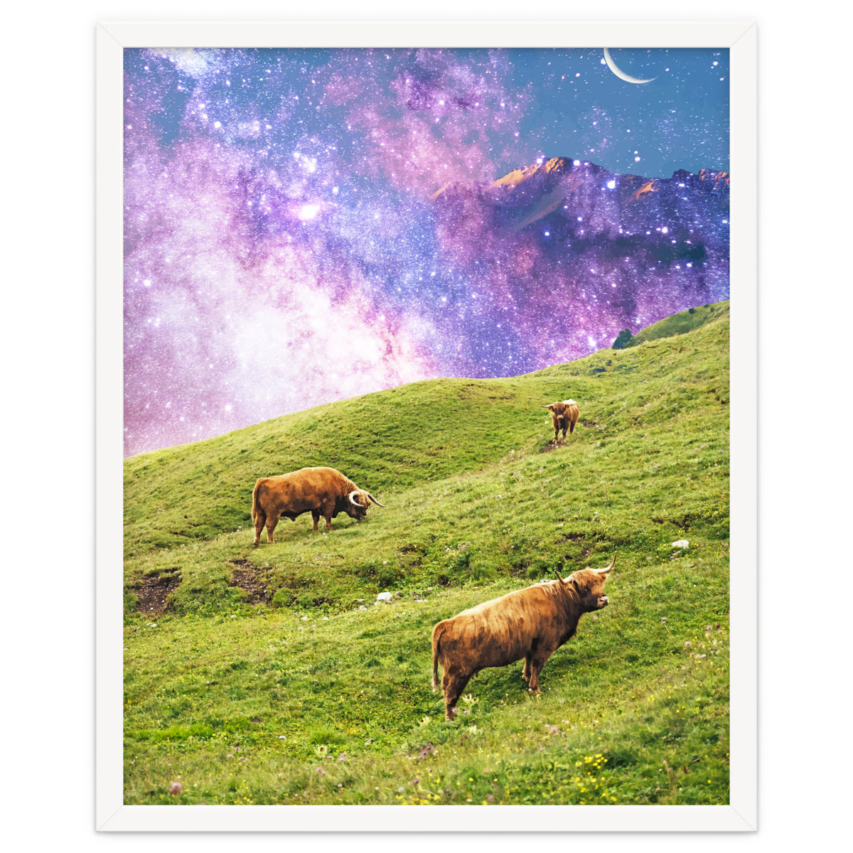Space Cow Series II